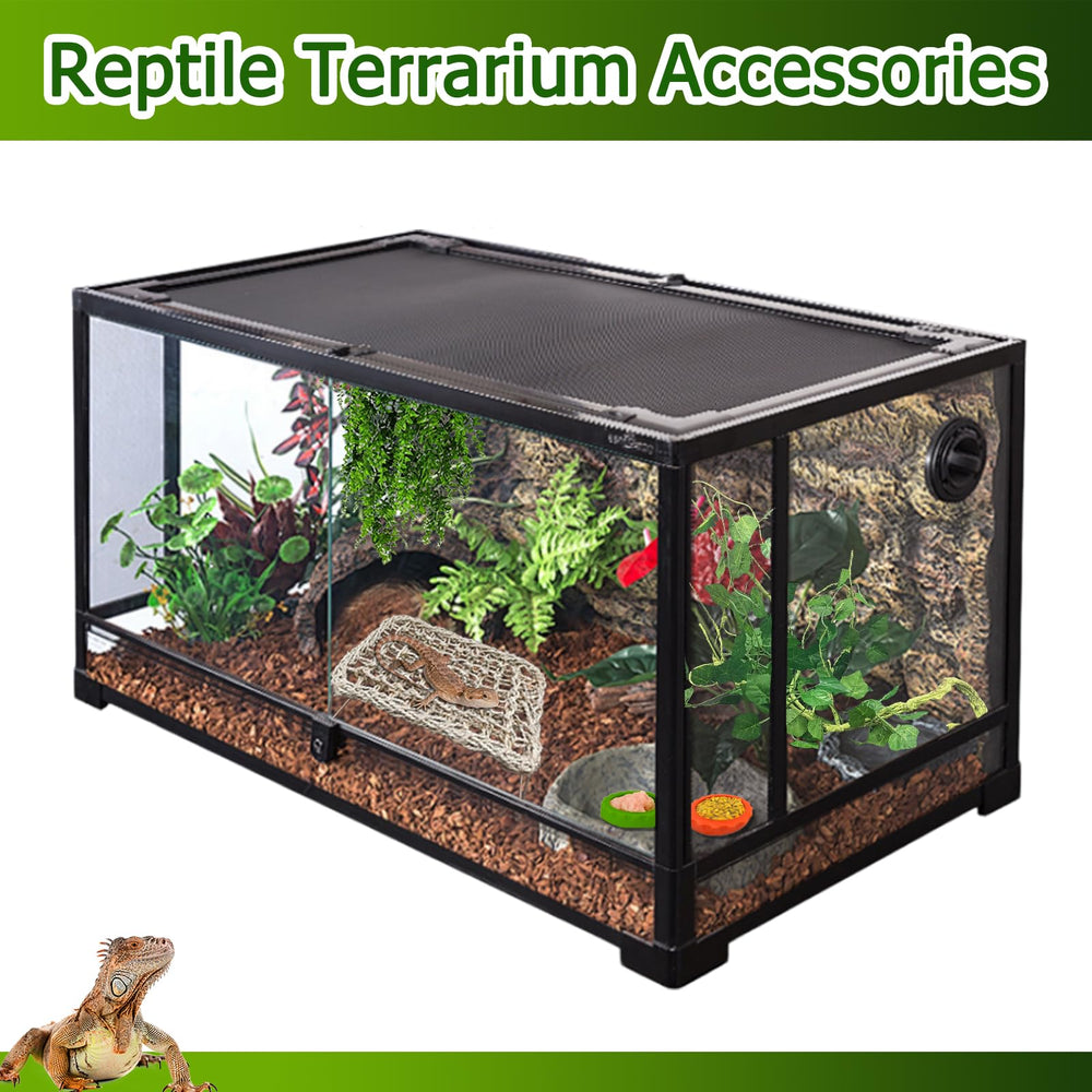 QWR Terrarium enrichment scene stimulates natural exploration