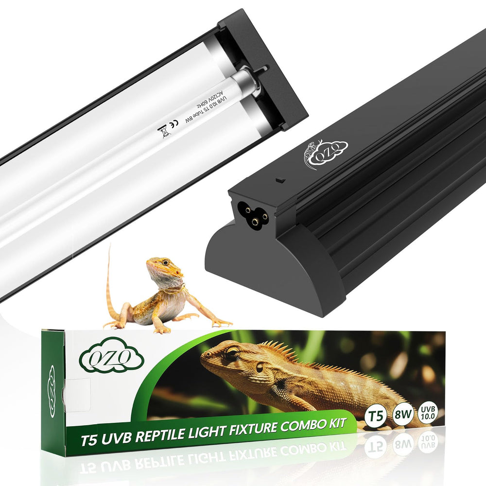 QZQ T5 UVB reptile light fixture in desert basking setup for beardies highlighting natural behavior
