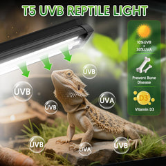QZQ T5 UVB reptile light fixture UVB 10% UVA 30% for healthy growth and color
