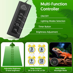 QZQ UVB/UVA spectrum demonstrates natural sunlight boost.