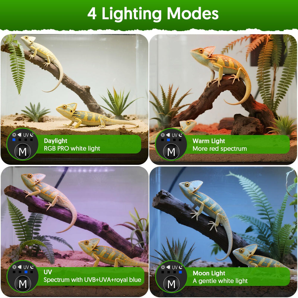 QZQ warm light mode highlights color and ambience.