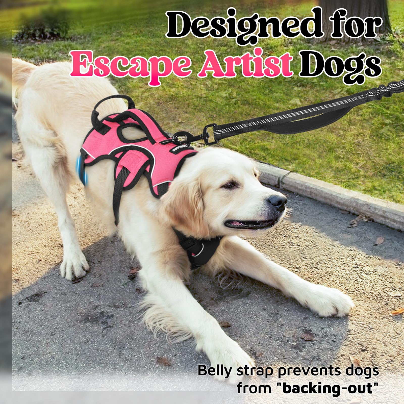 Rabbitgoo 5-adjustable-straps provide snug fit and room for growth during walks