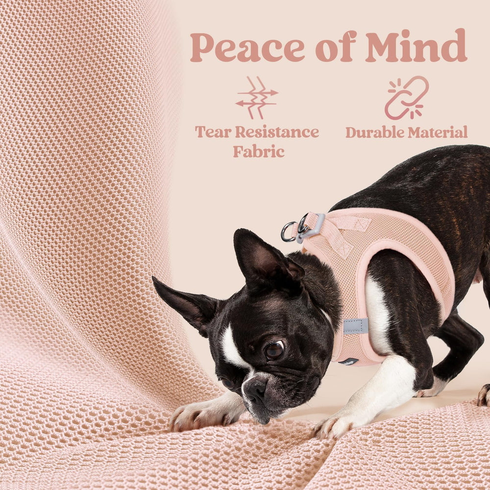 rabbitgoo adjustable straps show a lightweight, comfortable fit for tiny dogs