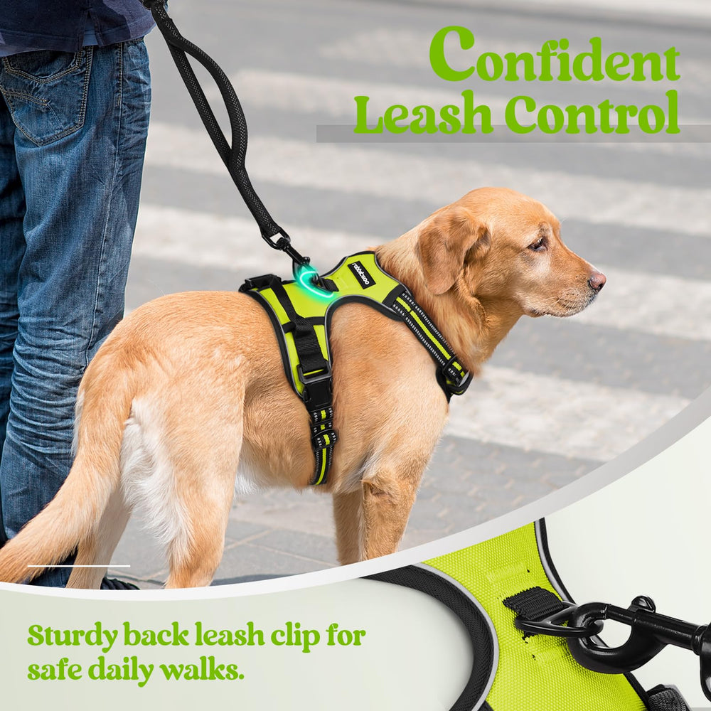Rabbitgoo adjustable straps ensure a customizable fit as your dog grows.