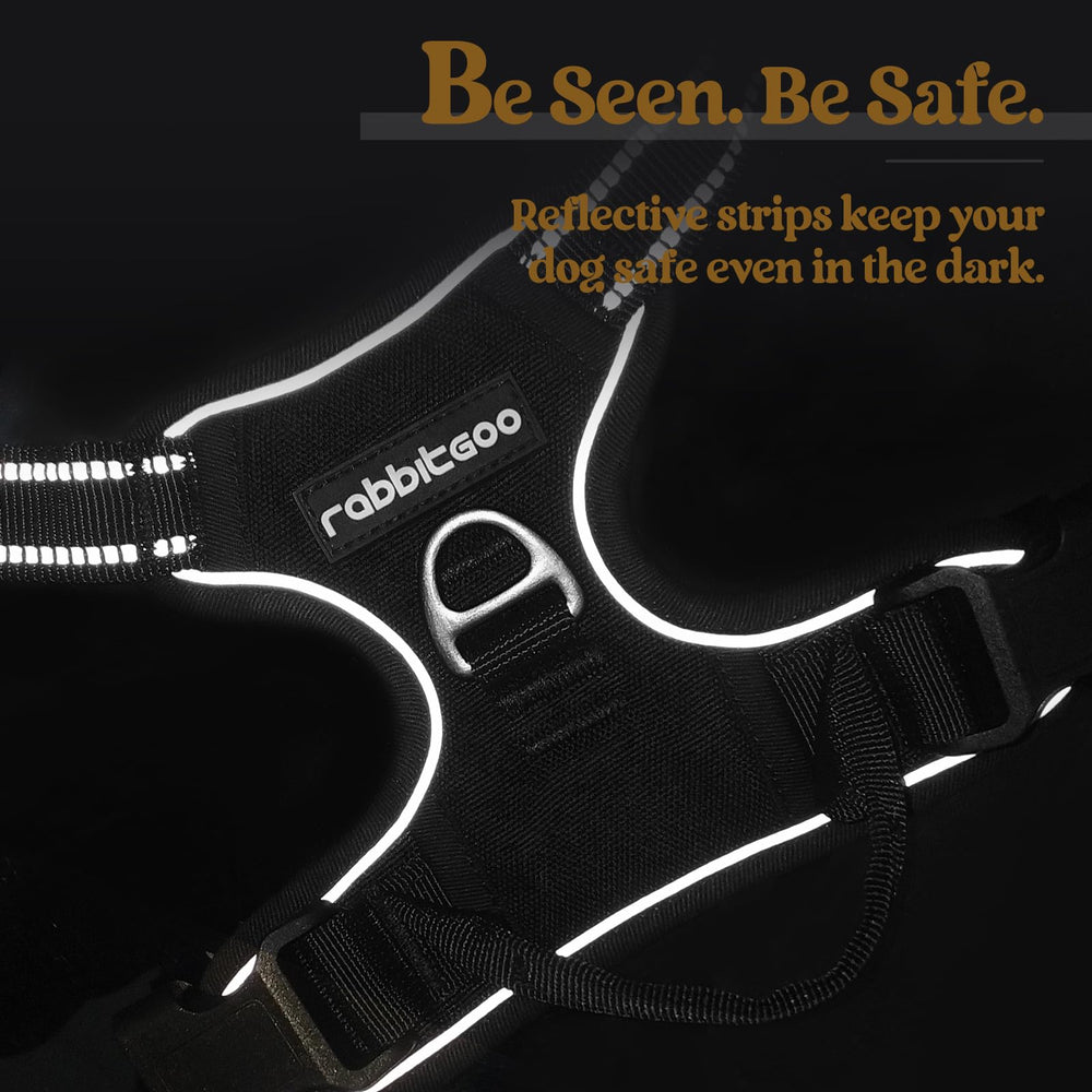 Rabbitgoo adjustable straps ensure a snug fit for growth