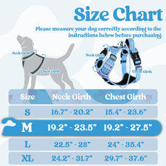 Rabbitgoo adjustable straps four-strap-fit demonstrates secure, growing-dog friendly design.