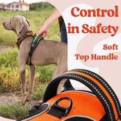 Rabbitgoo air mesh breathable panel keeps dogs cool on long walks.