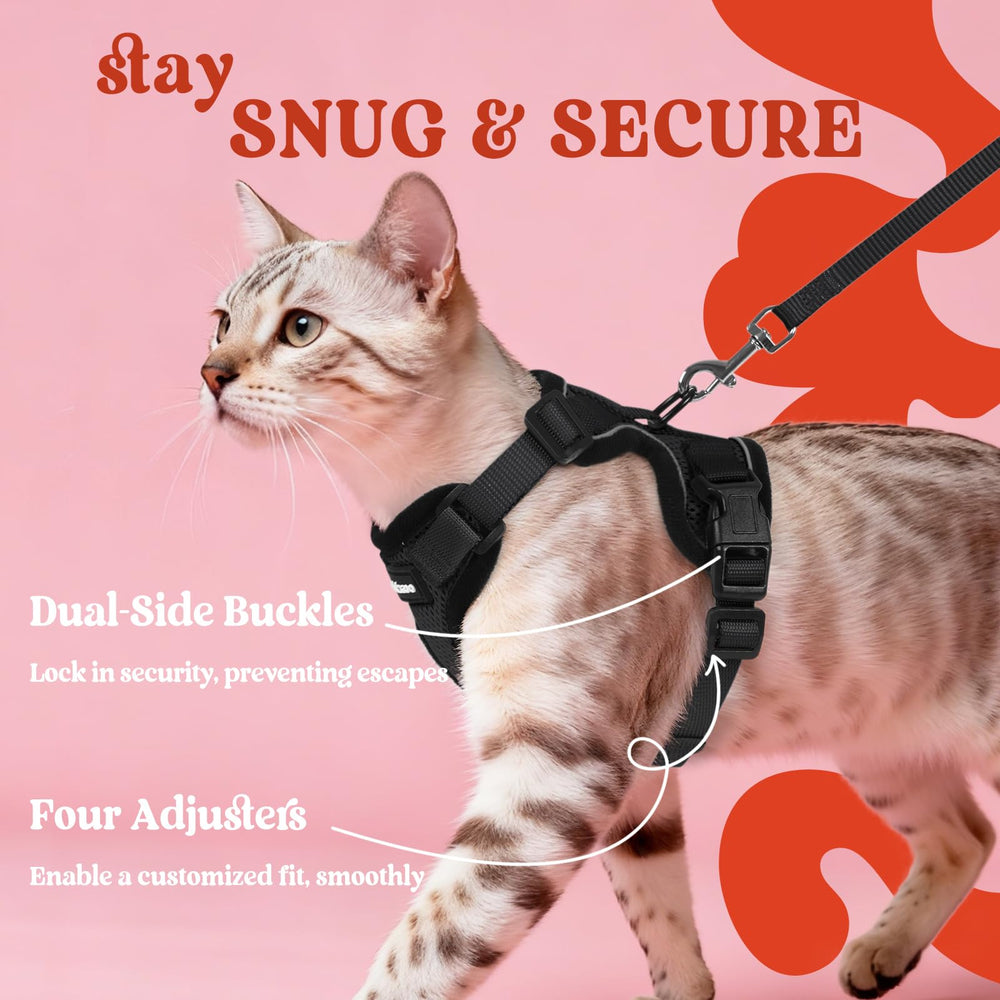Cuatro correas ajustables para un ajuste personalizado