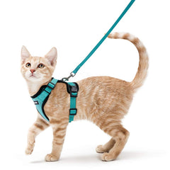 Arnés-gato-ajuste-vest Rabbitgoo para paseos seguros y cómodos.