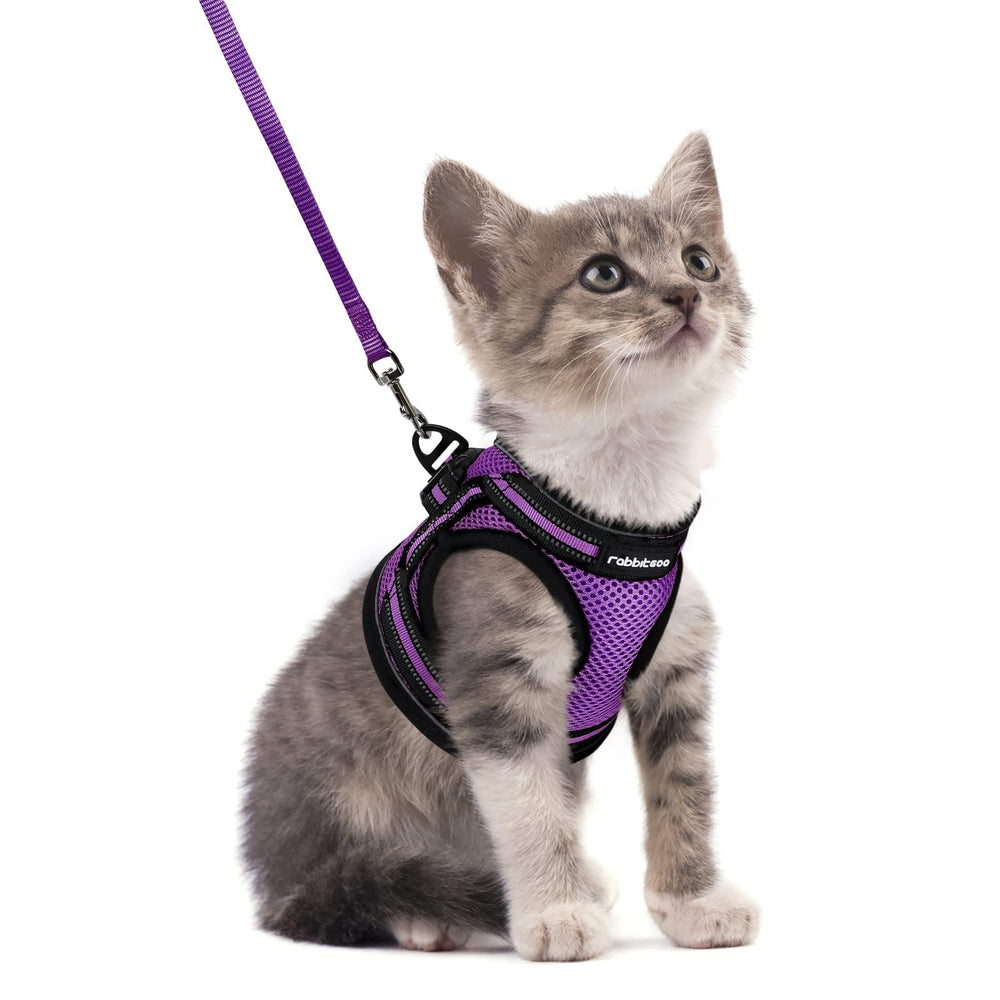 Arnés Rabbitgoo para gato transpirable con malla para uso diario