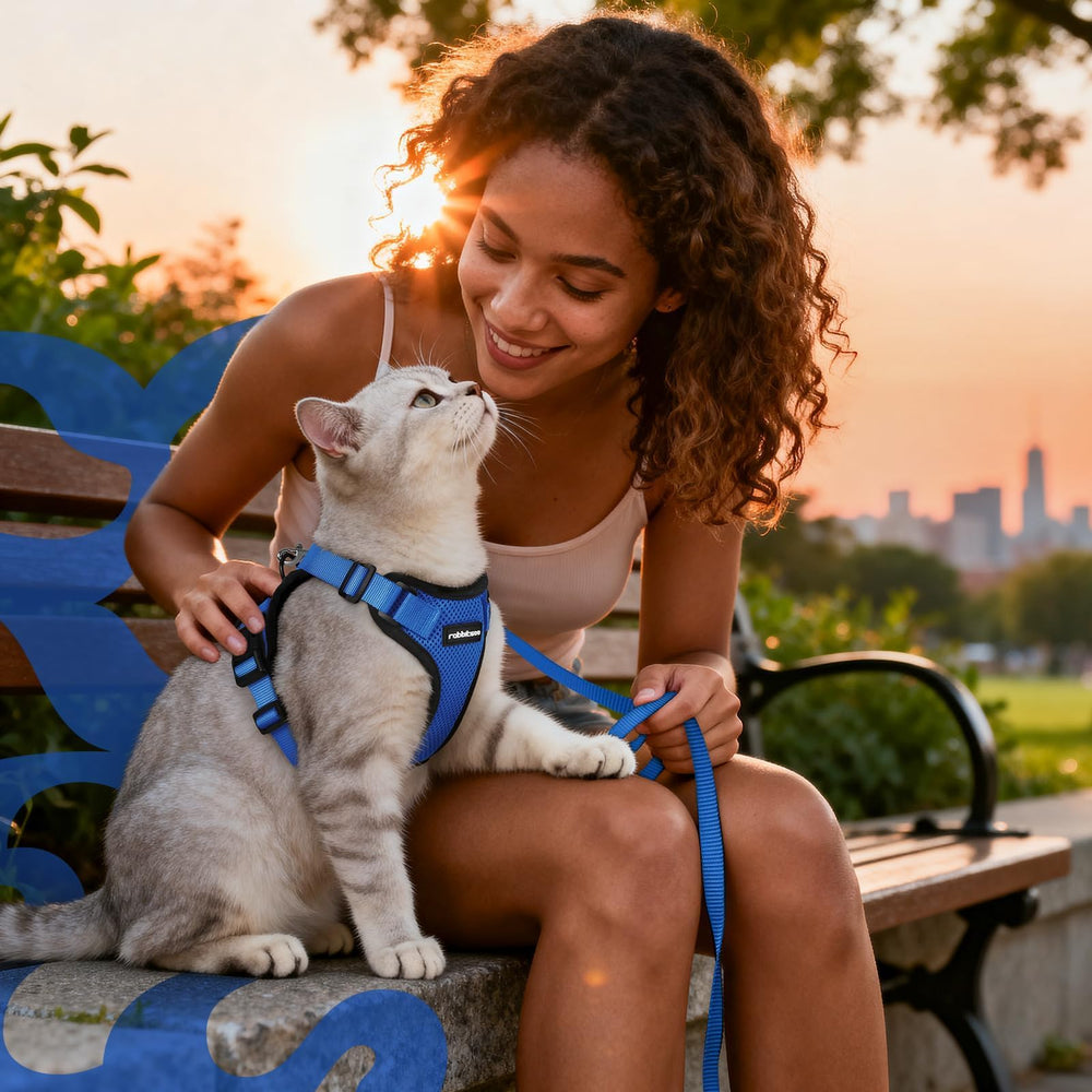 Rabbitgoo arnés-gato-uso-diario-exterior: perfecto para paseos diarios y salidas al exterior.