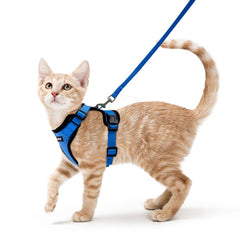 Rabbitgoo arnés-gato-y-correa: paquete completo para paseos seguros al aire libre.