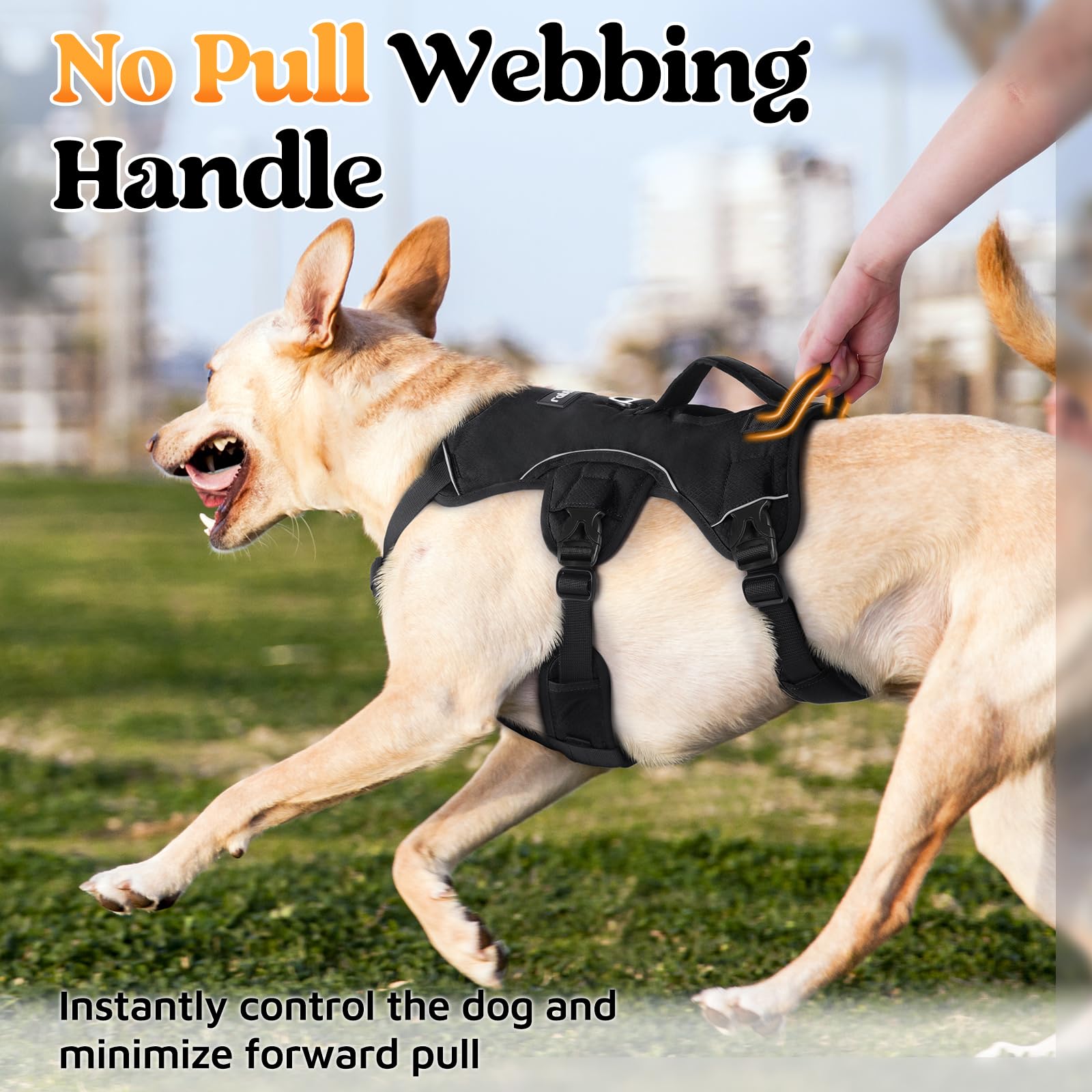 Rabbitgoo back D-ring and reflective strips enhance safety during evening strolls.