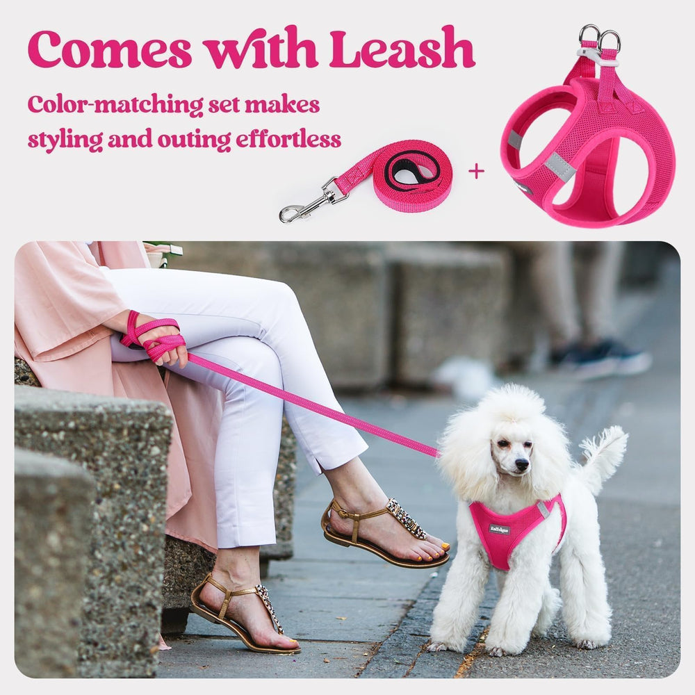 Rabbitgoo back D-rings and buckle provide secure leash attachment