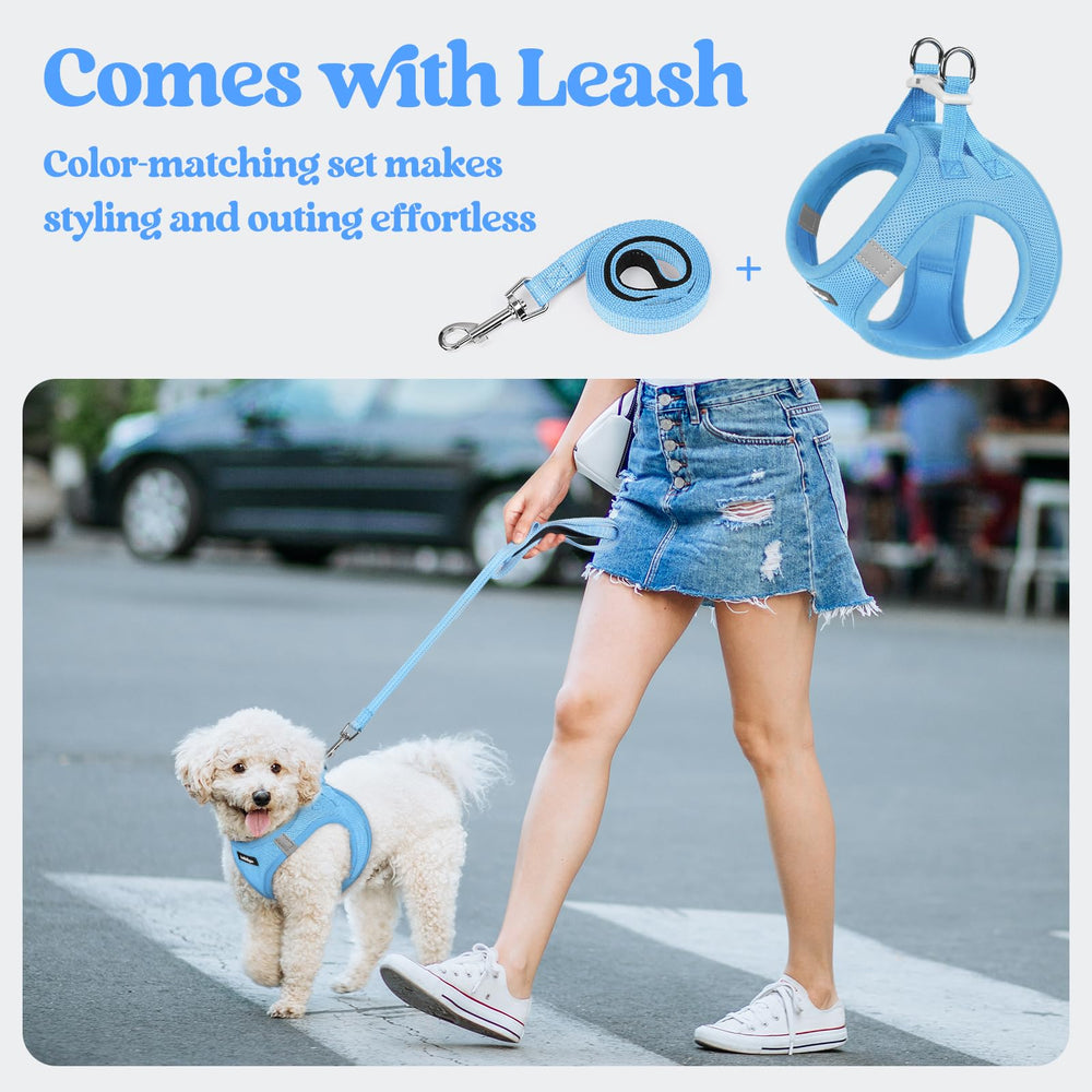 Rabbitgoo back D-rings safety design evenly distributes pull for gentle training.