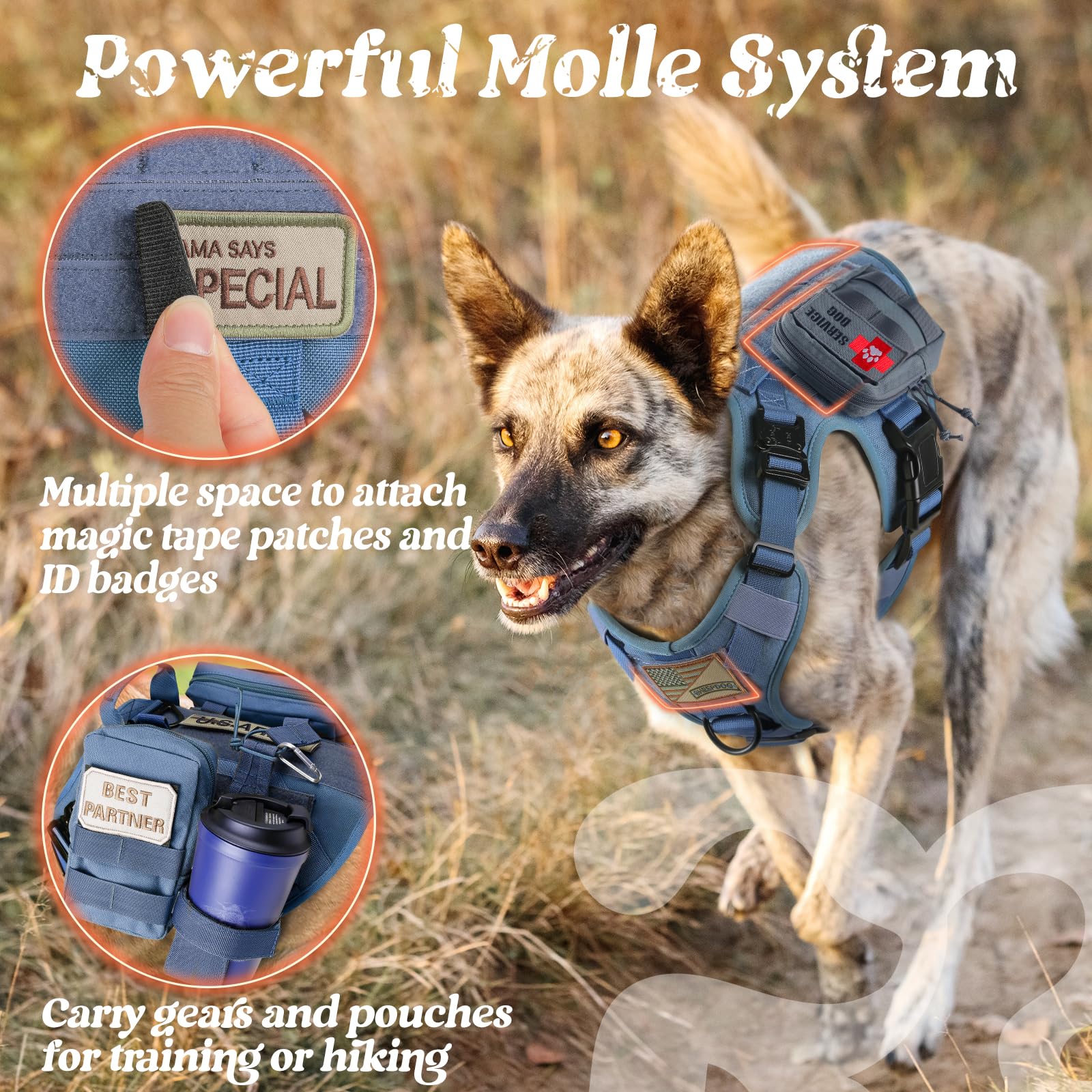 Rabbitgoo breathable air mesh keeps dogs ventilated during extended wear.