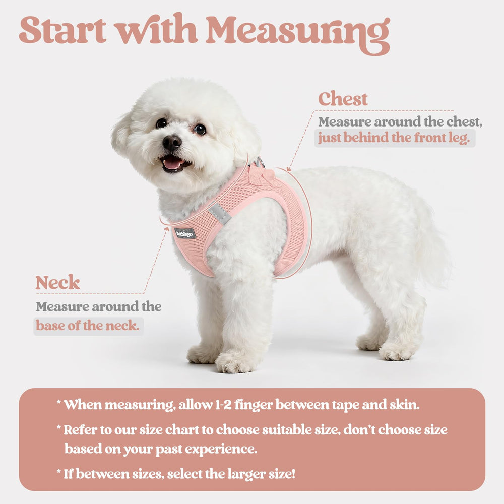 Rabbitgoo breathable mesh dog harness keeps pets cool during outdoor adventures