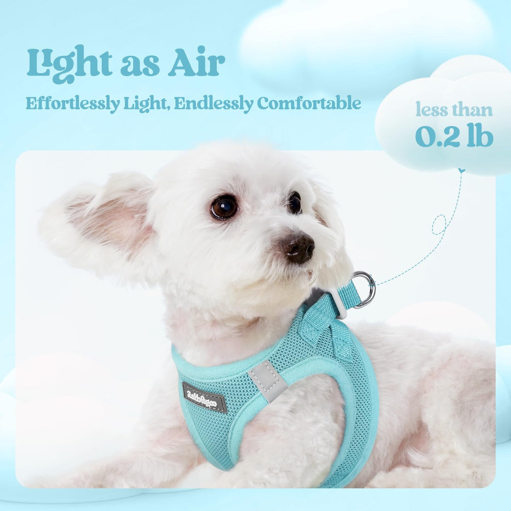 Rabbitgoo breathable mesh harness mint blue airflow keeps small dogs cool