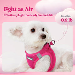 Rabbitgoo breathable mesh harness demonstrates lightweight comfort during outdoor adventures