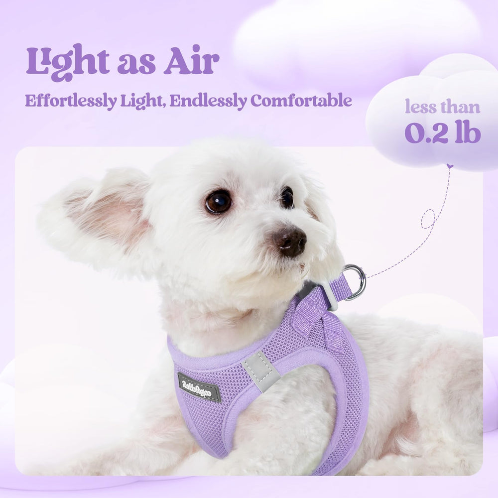 Rabbitgoo breathable mesh harness keeps your dog cool