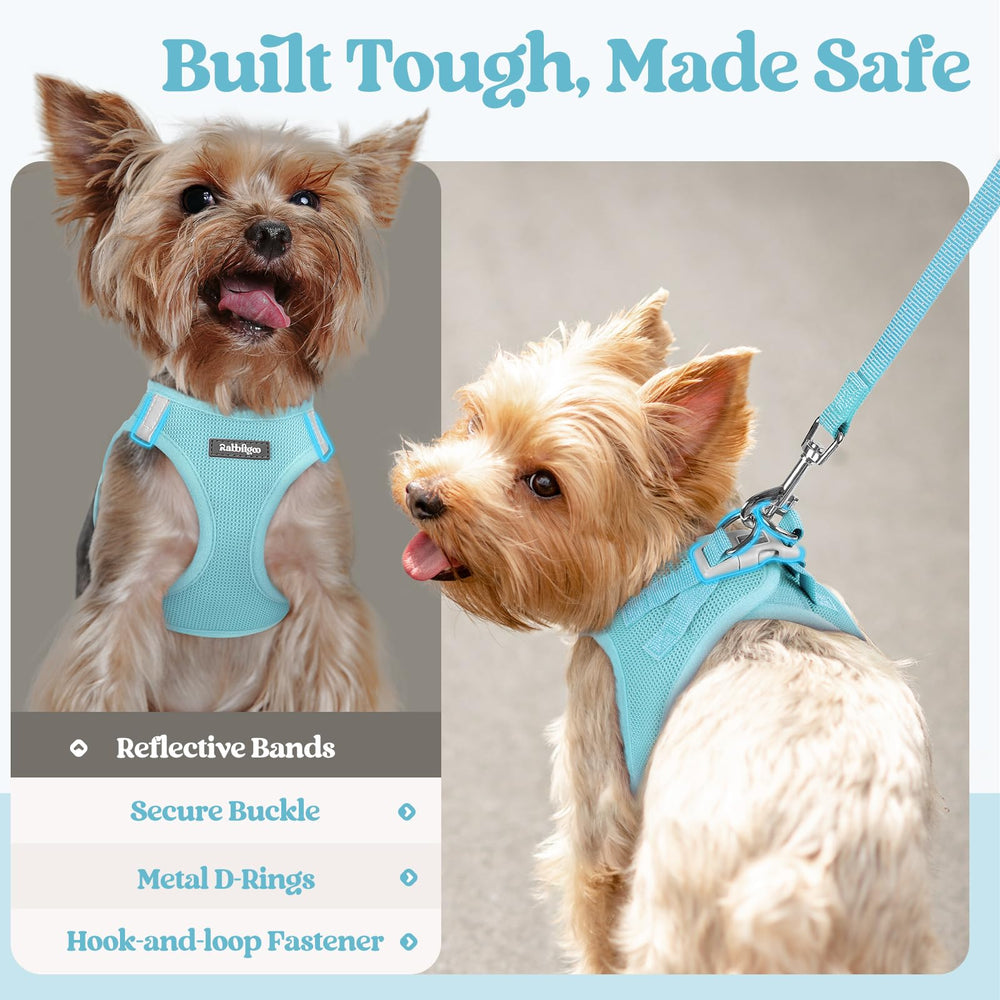 rabbitgoo breathable mesh mint blue image highlights lightweight design for comfortable wear