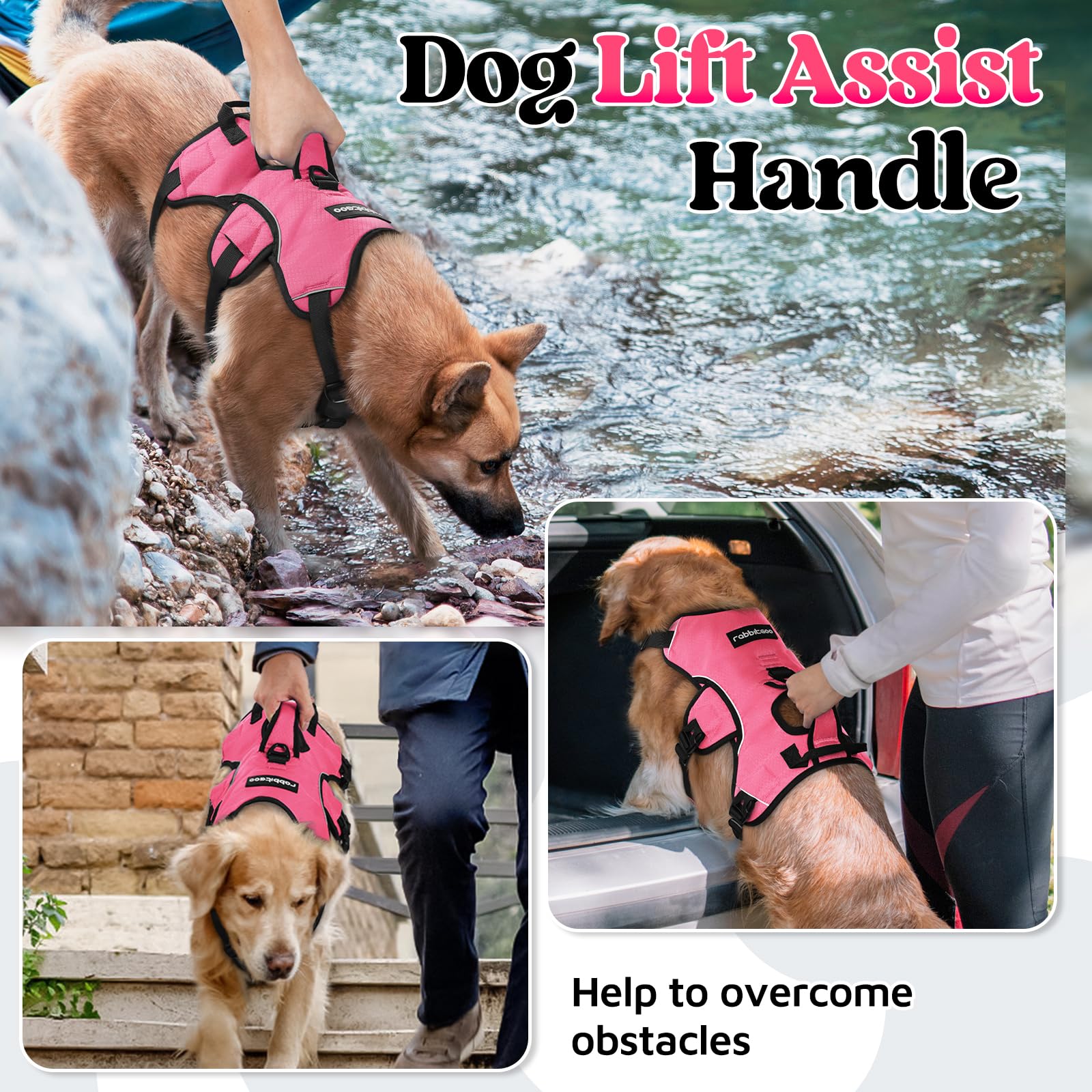 Rabbitgoo breathable padded air mesh keeps dogs comfortable on long outdoor adventures