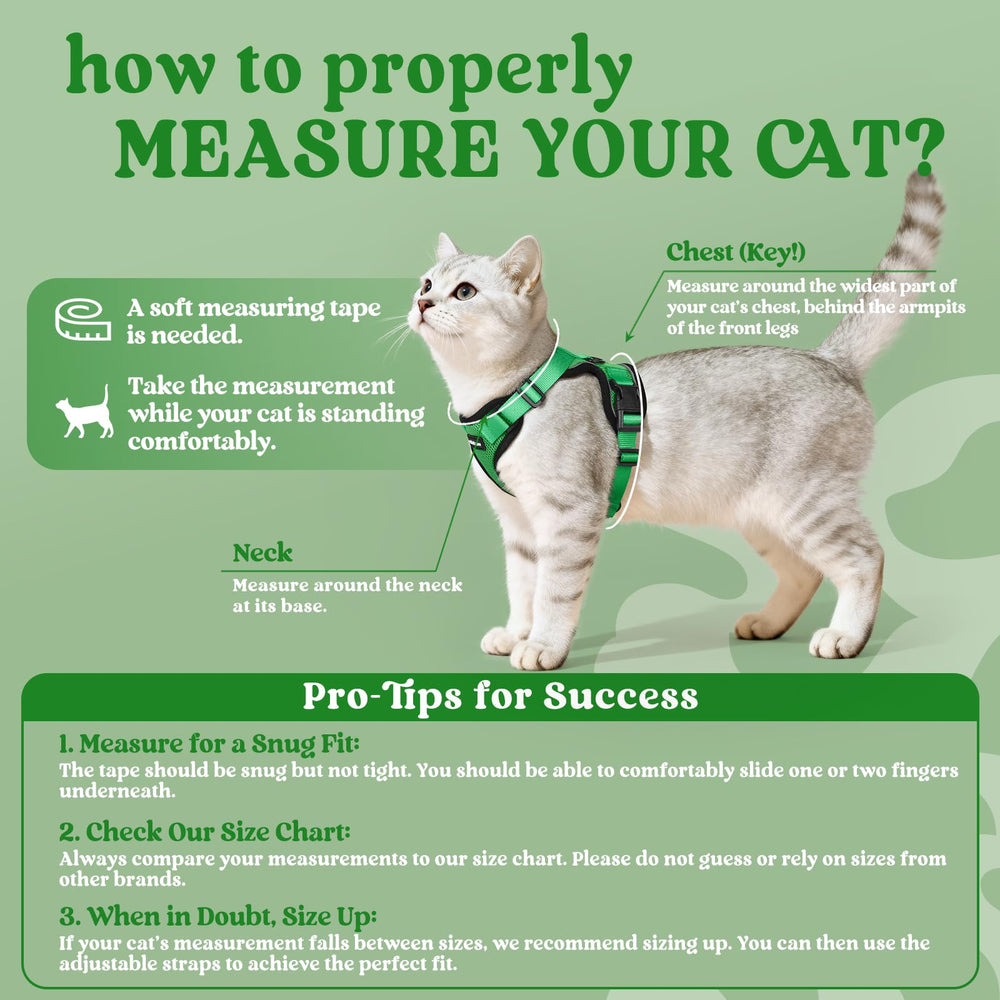 Rabbitgoo cat harness with four adjustable straps for a secure fit.