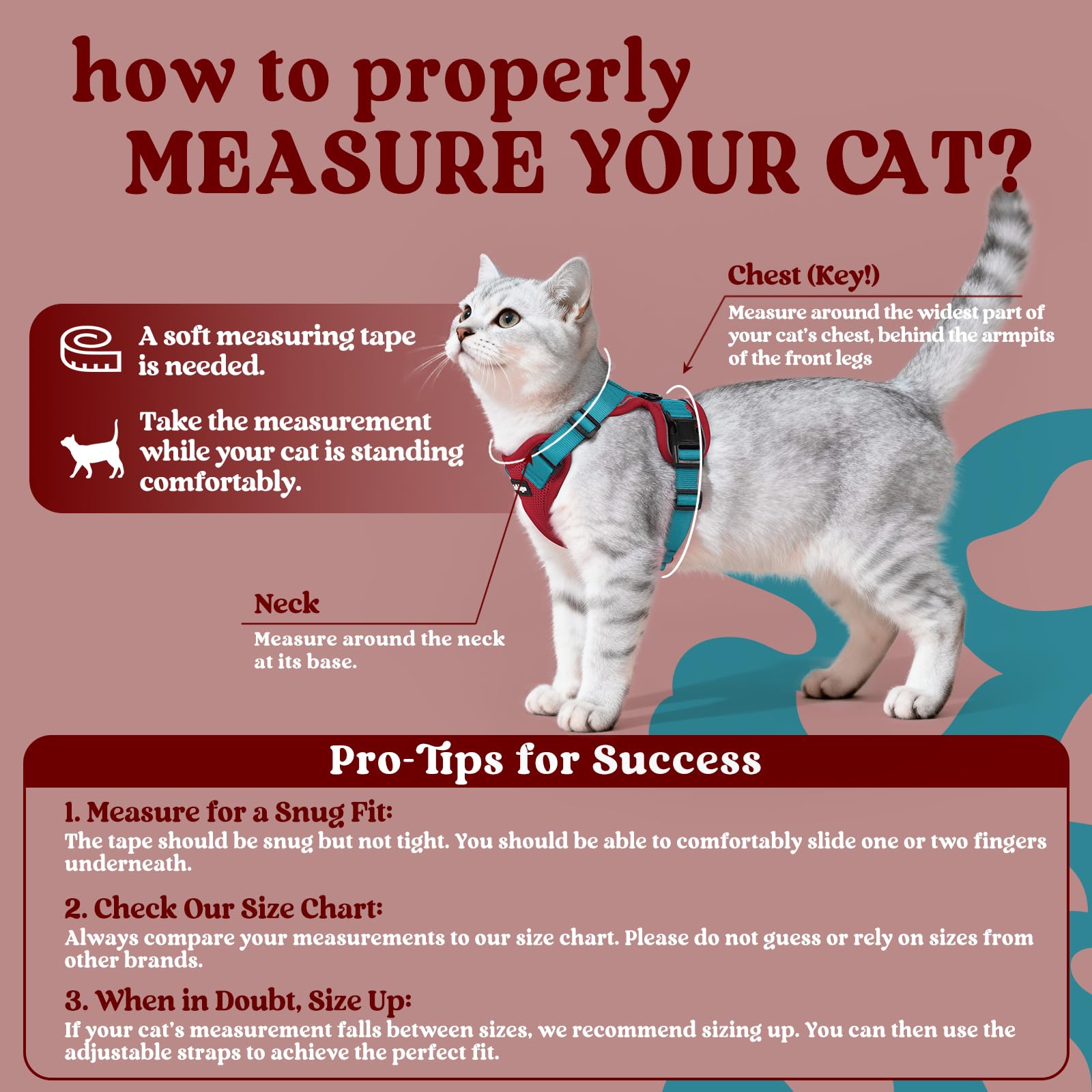 Rabbitgoo cat harness adjustable-straps show customizable fit for a range of cat shapes and sizes