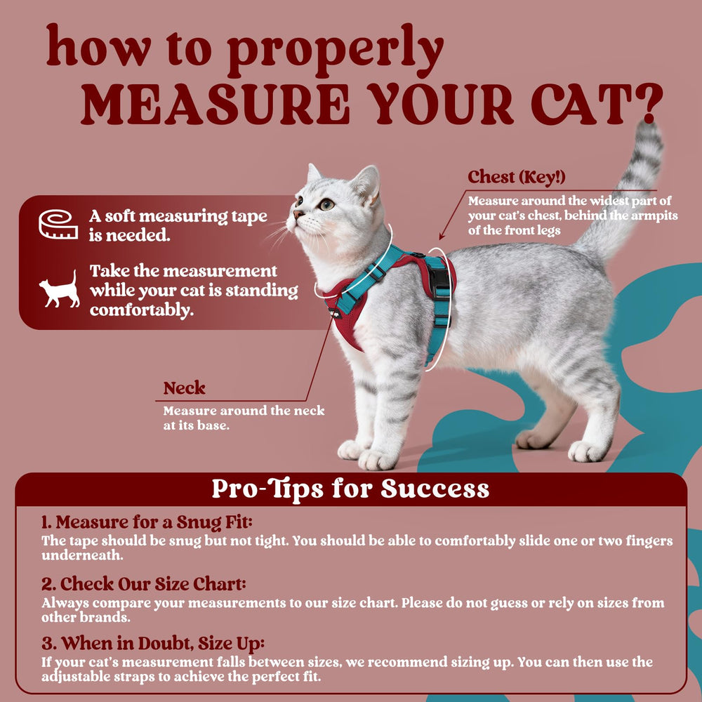Rabbitgoo cat harness adjustable-straps show customizable fit for a range of cat shapes and sizes