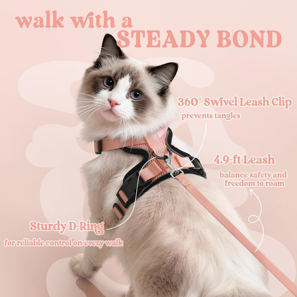 Rabbitgoo cat harness with four adjustable straps for a custom fit.
