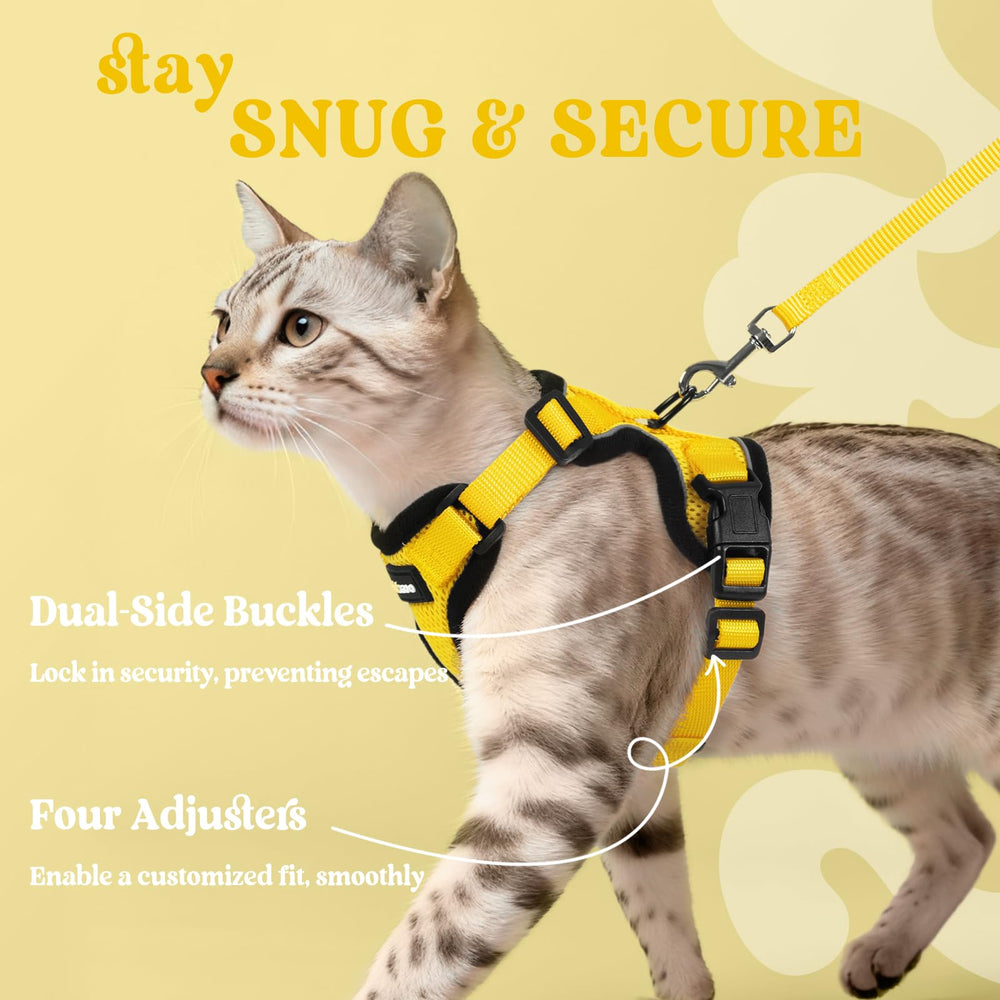 Rabbitgoo cat harness lightweight air-mesh keeps kitty cool on sunny strolls.