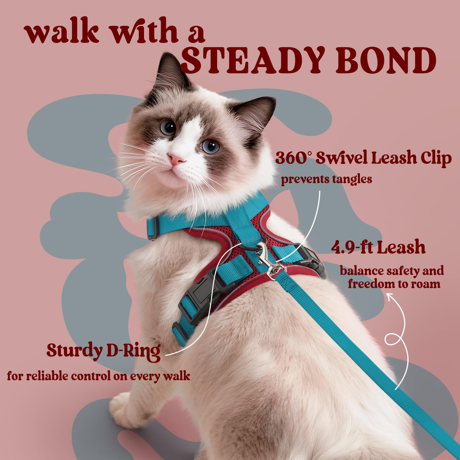 Rabbitgoo cat harness air-mesh lightweight keeps kitty cool on sunny walks