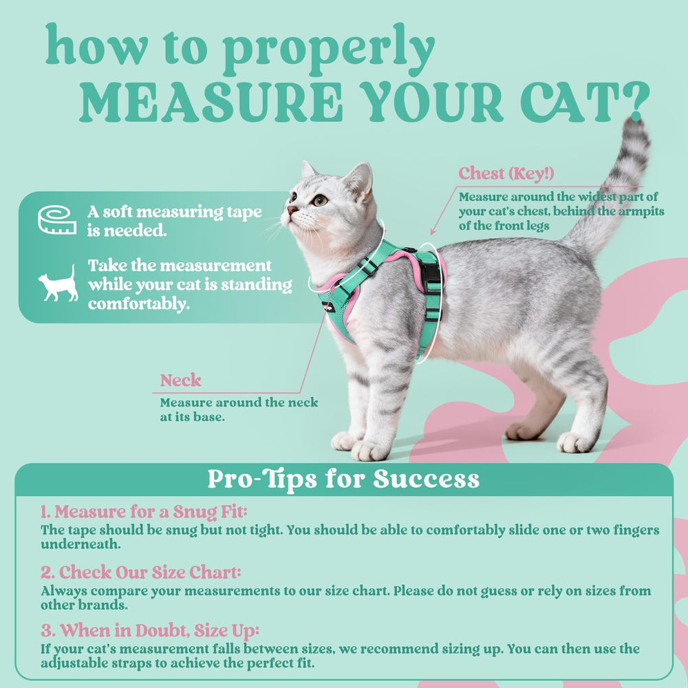 Rabbitgoo cat harness air-mesh lightweight fabric keeps cats cool on warm days