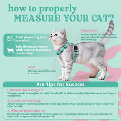 Rabbitgoo cat harness air-mesh lightweight fabric keeps cats cool on warm days
