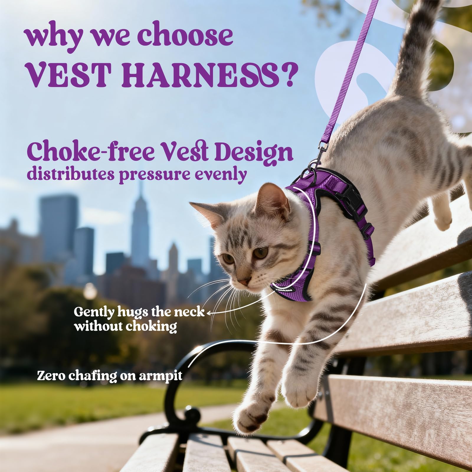Rabbitgoo cat harness back D-ring for reliable leash control during walks.