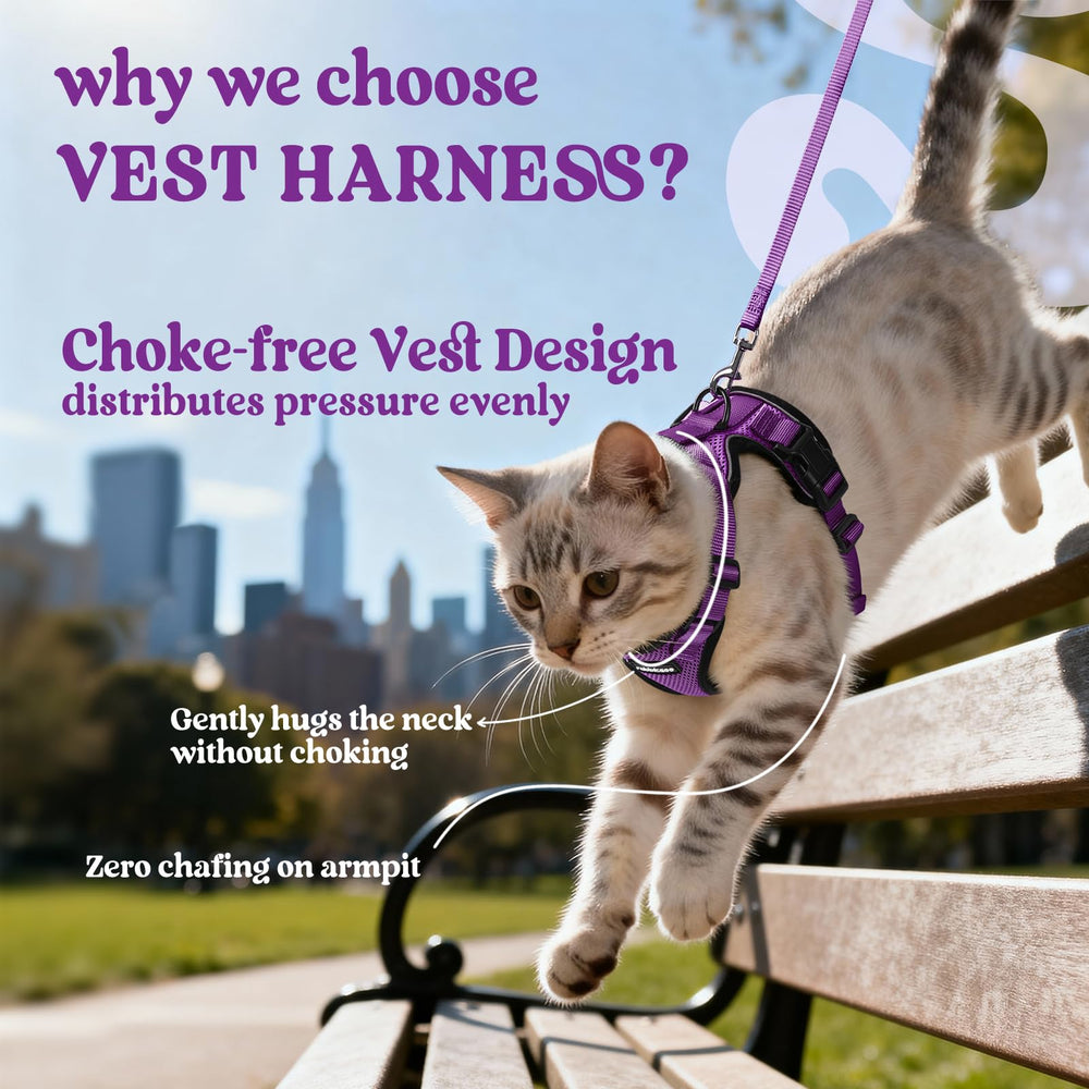 Rabbitgoo cat harness back D-ring for reliable leash control during walks.