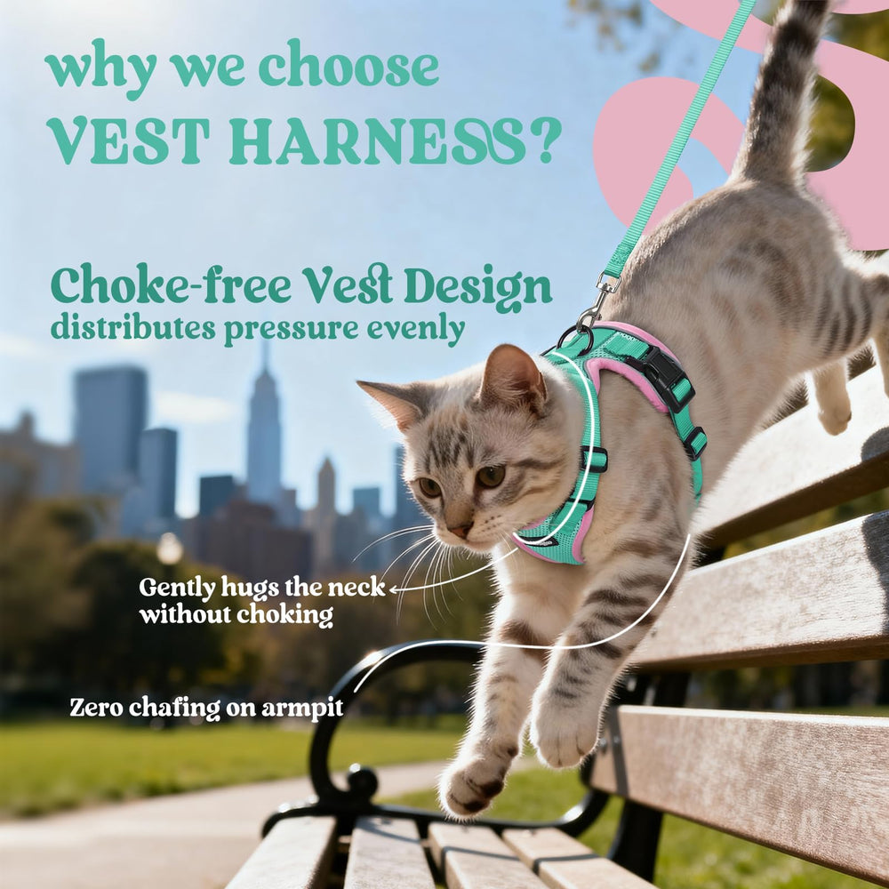 Rabbitgoo cat harness back D-ring provides secure control for confident outdoor walks