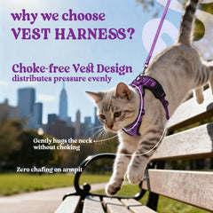 Rabbitgoo cat harness back D-ring for reliable leash control during walks.