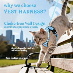 Rabbitgoo harness back D-ring keeps leash secure for reliable control.