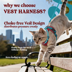 Rabbitgoo cat harness back-d-ring clip enables secure leash control during walks