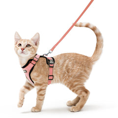 Rabbitgoo cat harness back D-ring for reliable leash control during walks.