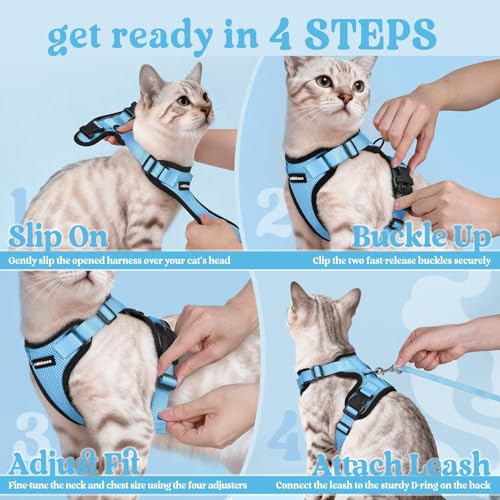 Rabbitgoo blue harness color option highlights vibrant, stylish outdoor look.