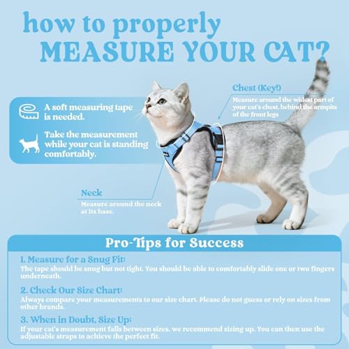 Rabbitgoo cat harness breathable air-mesh keeps cats cool during outdoor strolls.