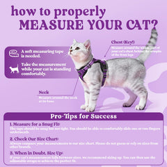 Rabbitgoo breathable air-mesh cat harness in purple XS keeps cats cool.