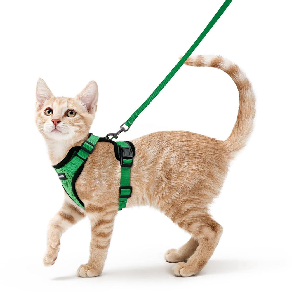 Rabbitgoo cat harness breathable mesh for comfortable outdoor walks.