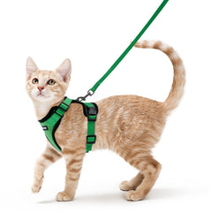 Rabbitgoo cat harness breathable mesh for comfortable outdoor walks.
