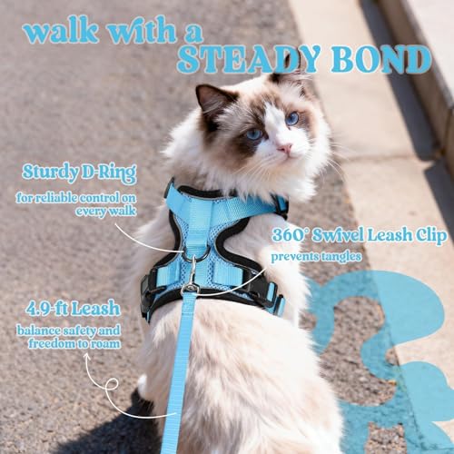 Rabbitgoo cat harness dual-buckle escape-proof closure for secure outdoor adventures.