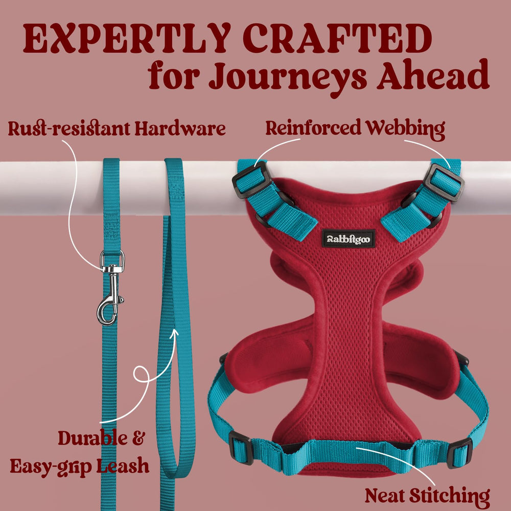 Rabbitgoo cat harness easy-on-off design minimizes setup time