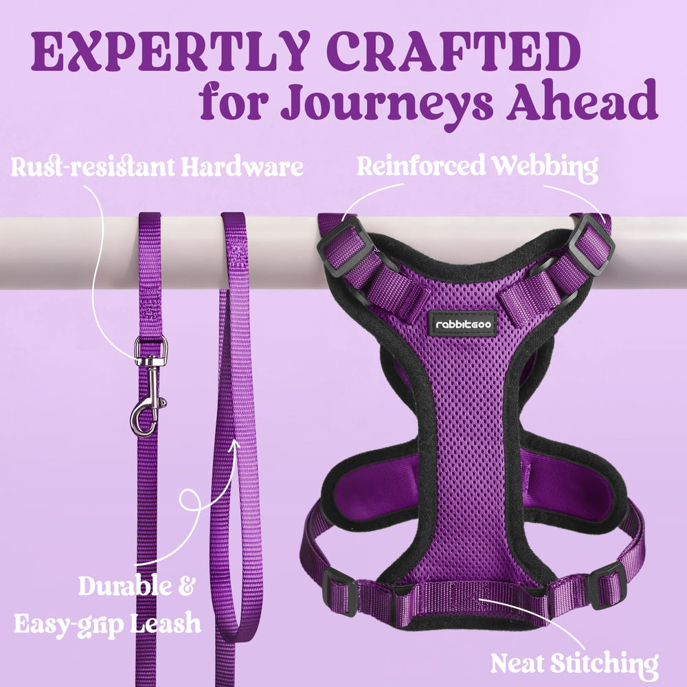 Rabbitgoo easy-on-off harness for quick prep before outings.