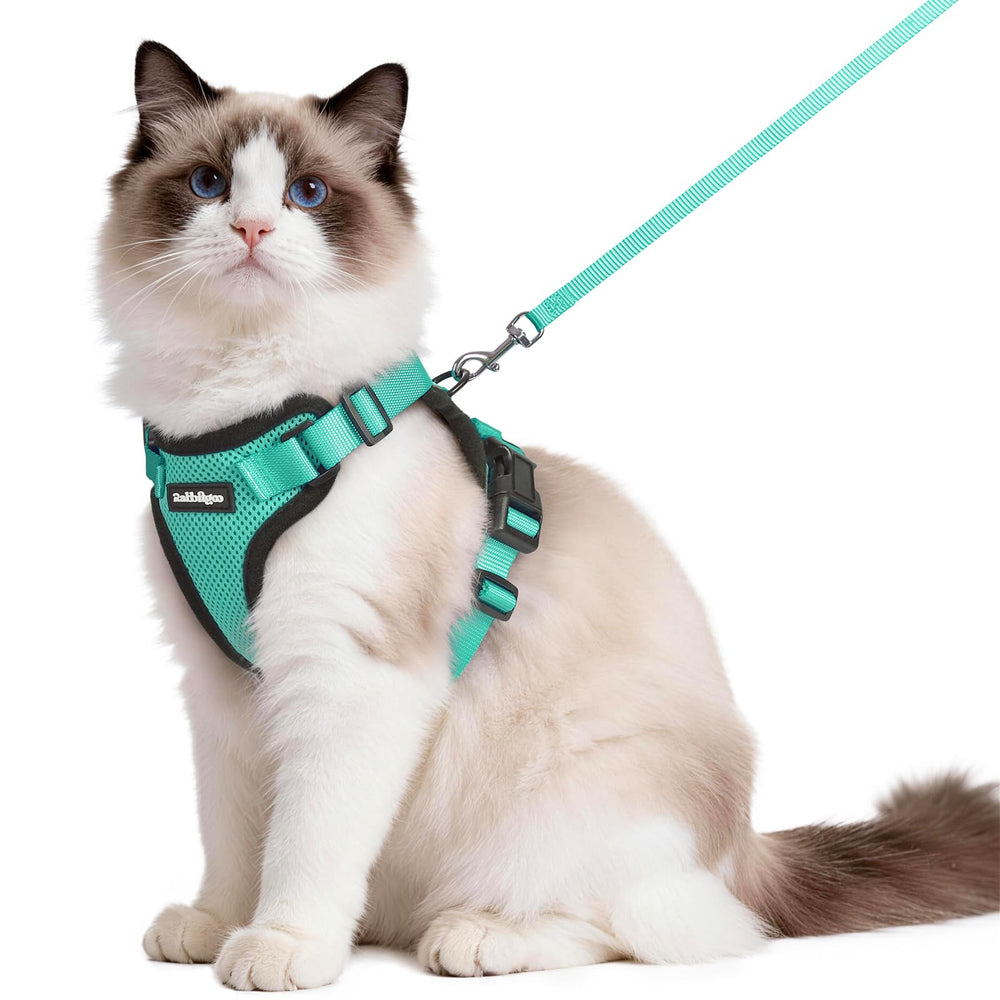 Rabbitgoo Emerald cat harness close-up showing escape-proof vest for safe walks.